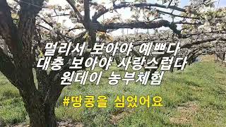 시골에서 살고 싶으시다구요?? 현실 농사 간접 체험