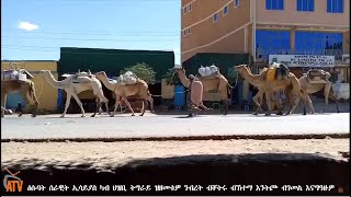 ATV: ዕሱባት ሰራዊት ኢሳይያስ ካብ ህዝቢ ትግራይ ዝዘመቱዎ ንብረት ብገመል ጽዒኖም ብማእከል ከተማ እንትጮ እናግዓዙዎ