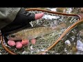 2024会津渓流flyfishing【未公開釣行動画集】9月編