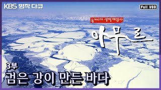 [KBS 명작다큐] 동아시아 생명대탐사 "아무르 3부 - 검은 강이 만든 바다" (KBS 110413 방송)