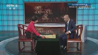 《棋牌乐》20190529 2019城市围棋联赛：柳州文旅VS宁波疏浅