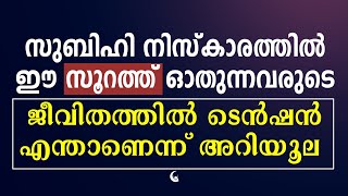 സുബിഹി നിസ്കാരത്തിൽ ഈ സൂറത്ത് ഓതുന്നവർ ഭാഗ്യവാൻ | Quran Surah Fajr Prayer