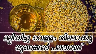 മല്ലിയിട്ടു വെള്ളം ശീലമാക്കൂ ഗുണങ്ങൾ പലതാണ് Healthy kerala | Health | Healthy drink | Good health