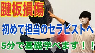 【総まとめ】腱板断裂のポイントが５分で学べる動画です