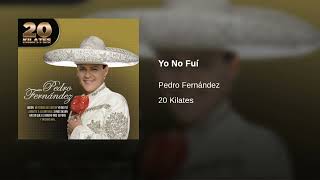 Pedro Fernández  · Yo No Fuí  (AUDIO)