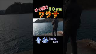 【海釣り】隣にいた紳士がブリブリな青物を釣り上げた！#shorts #釣り #海釣り #岩手 #ショアジギング #ワラサ #鰤 #青物