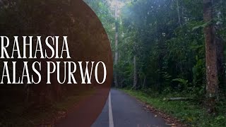 Rahasia Alas Purwo  Hutan Paling Angker di Indonesia