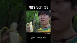 여름에 등산을 해야하는 이유 #shorts