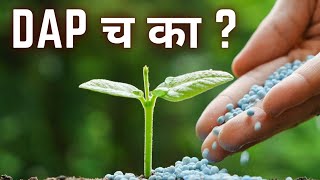 DAP खत का वापरावे ? DAP fertilizer use in plants