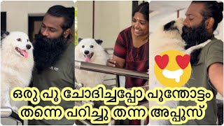 എന്നെ കെട്ടിപിടിച്ചു സ്നേഹിക്കുന്ന അപ്പൂസ്😍@vichuzappuzvlog1236 #viral #dog #doglover #puppy #pets