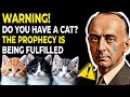 WHAT EDGAR CAYCE PREDICTED FOR THOSE WHO HAVE CAT AT HOME HAS ALREADY BEGUN AND EVERYONE IS SHOCKED