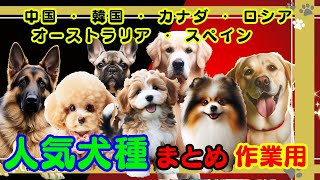 作業用【ランキング】世界の人気犬種ランキング！まとめ（２）中国　韓国　カナダ　ロシア　オーストラリア　スペインの人気犬種ランキングまとめ