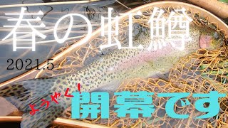 【2021年】【道東フライフィッシィング】【春の止水湖】【ニジマス解禁！】