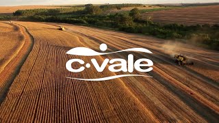 Go Live netLex | C.Vale - Cooperativa Agroindustrial