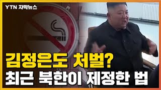 [자막뉴스] 김정은도 규제대상 될까...최근 北이 제정한 법 / YTN