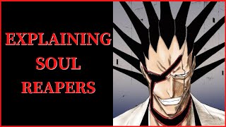 Soul Reapers Explained (Bleach)