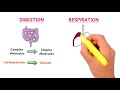 physical changes and chemical changes chemistry