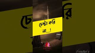 ইসলামিক স্টাটাস, আমরা সামান্য রোদ ছেড়ে। #shorts #islamic #status #islamicstatus