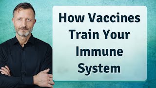 How Vaccines Train Your Immune System