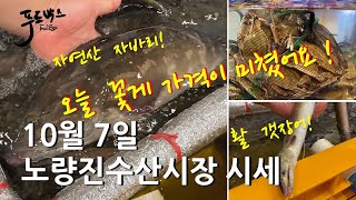 [최신시세정보] 꽃게 값이  미쳤어요!  자연산 자바리와  활 갯장어 !   10월 7일 노량진 수산시장