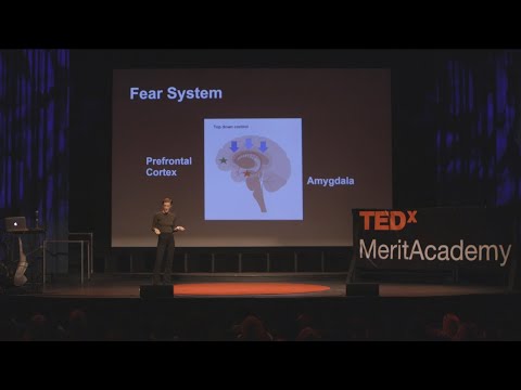 Trauma On The Brain The Neurobiological Effects Of Ptsd Daisy Payton