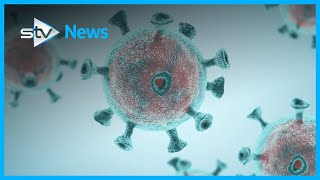 Scotland reports no new coronavirus deaths in last 24 hours.