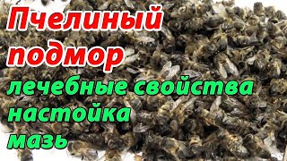 Пчелиный подмор. Настойка подмора. Мазь из подмора. Применение пчелиного подмора в народной медицине