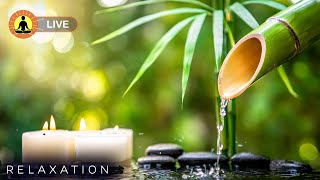 🔴 Relaxing Music 24/7, Healing Music, Meditation Music, Spa Music, Sleep, Zen, Study Music, Yoga