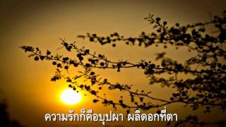 มนต์รักดอกคำใต้ : ประวิทย์ เปรื่องอักษร - อัจฉพรรณี หาญณรงค์