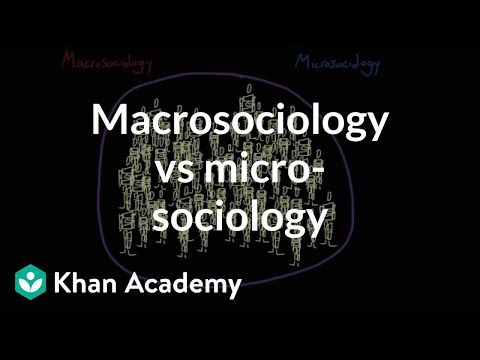 What is micro theory in sociology?