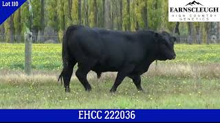 Lot 110 EHCC 222036