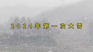 我的家乡下了一阵大雪，带你看看农村雪景，雪景美如画。