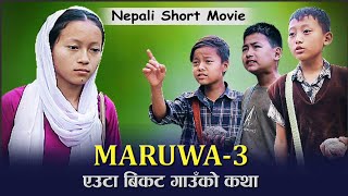 MARUWA 3 nepali short movie 2023 || मरुवा ३ | new nepali film 2079