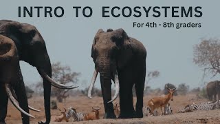 Intro to Ecosystems for Elementary & Middle School. NGSS 5-LS2-1, 5-ESS2-1, MS-LS2-3, MS-LS2-4