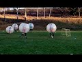 zorbing fotbal janov 2016