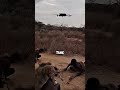 african tribe sees a drone for the first time