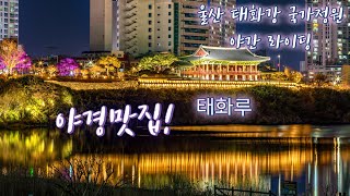 울산 태화강 국가정원 +야간 라이딩(야경맛집) 4K - The best country in the world to live in