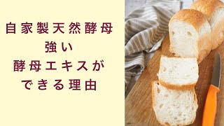 【自家製天然酵母】強い酵母エキスができる理由　フルーツ酵母　自家製天然酵母　パン教室　教室開業　大阪　奈良　東京　福岡　名古屋