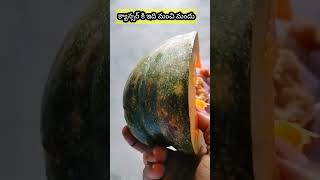 గుమ్మడికాయని ఇలా ఎప్పుడన్నా ట్రై చేశారా ? #shorts #pumpkin #anticancerfruit  #jaggery #Gracuwings