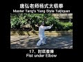 唐弘老师杨式太极拳 第15~17式 master tang s yang style taijiquan action 15~17