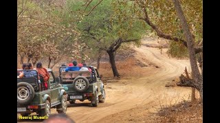 गीर नेशनल पार्क में जंगल सफारी || Jungle Safari in Gir National Park (Ep. 24)