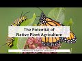 The Potential of Native Plant Agriculture
