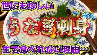 【浜松グルメ】他では食べれない!!ウナギの刺身が想像を超えてくる!!【必見】