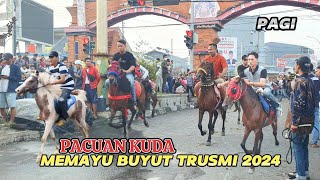 PACUAN KUDA MEMAYU BUYUT TRUSMI 2024‼️