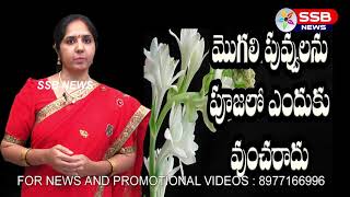 మొగలి పువ్వు ను పూజలో ఎందుకు వాడరో తెలుసా...|| SSB TV NEWS ||