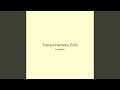 Tranquil Harmony Echo