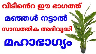 വീടിൻെറ ഈ ഭാഗത്തും മഞ്ഞൾ നട്ടുപിടിപ്പിച്ചാൽ സർവ്വ ഐശ്വര്യവും സമ്പൽസമൃദ്ധിയും മഹാഭാഗ്യവും വന്നുചേരും