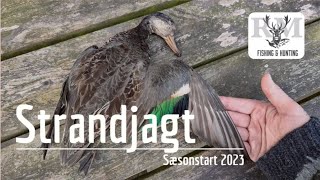 Strandjagt | Sæsonstart 2023!