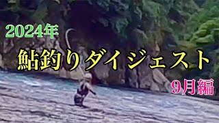 【鮎釣り】2025年ですが…2024年鮎釣りを振り返る　9月編