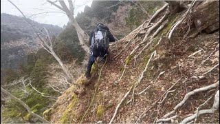 丹沢　命知らずのエス隊長と里山ハイキング